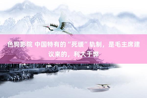 色狗影院 中国特有的“死缓”轨制，是毛主席建议来的，利大于弊