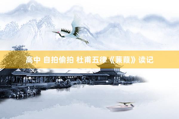 高中 自拍偷拍 杜甫五律《蒹葭》读记