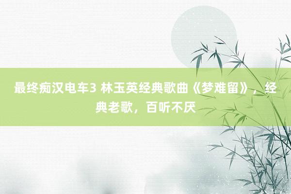 最终痴汉电车3 林玉英经典歌曲《梦难留》，经典老歌，百听不厌