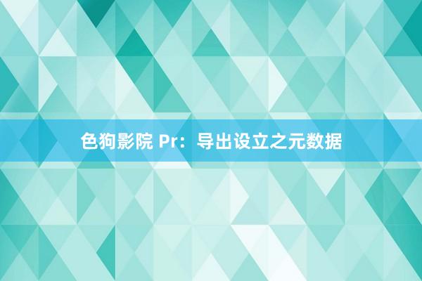 色狗影院 Pr：导出设立之元数据