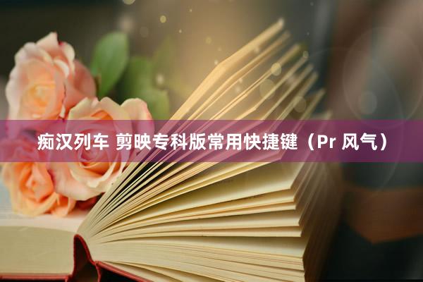 痴汉列车 剪映专科版常用快捷键（Pr 风气）