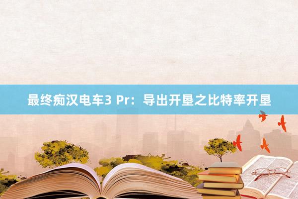 最终痴汉电车3 Pr：导出开垦之比特率开垦