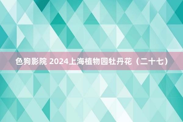 色狗影院 2024上海植物园牡丹花（二十七）