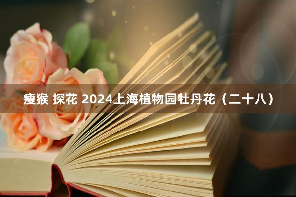 瘦猴 探花 2024上海植物园牡丹花（二十八）