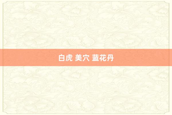 白虎 美穴 蓝花丹