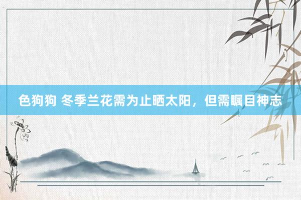 色狗狗 冬季兰花需为止晒太阳，但需瞩目神志