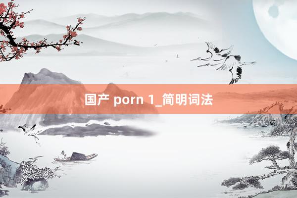 国产 porn 1_简明词法
