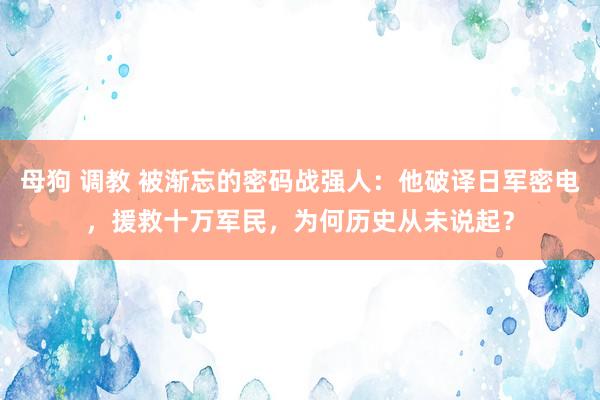 母狗 调教 被渐忘的密码战强人：他破译日军密电，援救十万军民，为何历史从未说起？