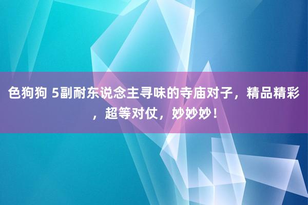 色狗狗 5副耐东说念主寻味的寺庙对子，精品精彩，超等对仗，妙妙妙！