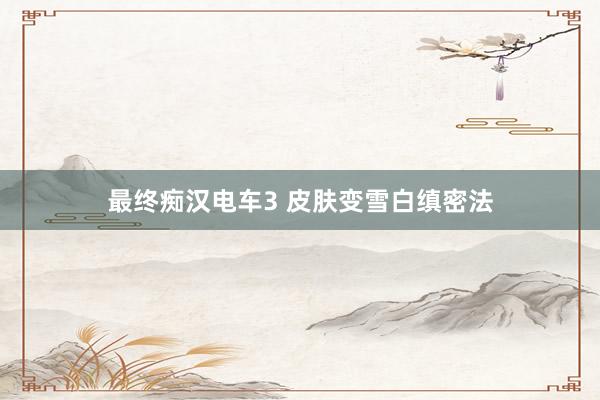 最终痴汉电车3 皮肤变雪白缜密法