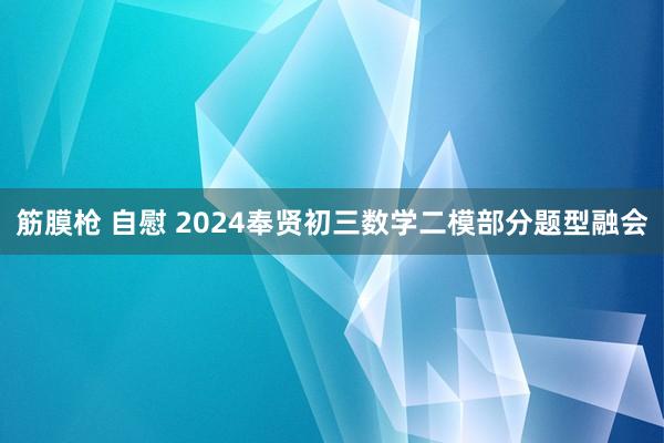 筋膜枪 自慰 2024奉贤初三数学二模部分题型融会