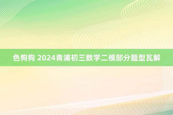 色狗狗 2024青浦初三数学二模部分题型瓦解