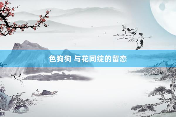 色狗狗 与花同绽的留恋