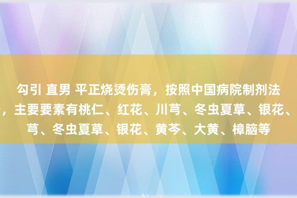 勾引 直男 平正烧烫伤膏，按照中国病院制剂法子之软膏剂尺度制备，主要要素有桃仁、红花、川芎、冬虫夏草、银花、黄芩、大黄、樟脑等